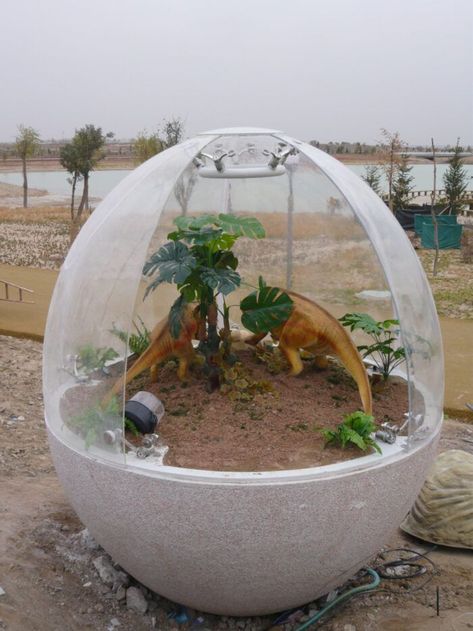 Zoo Park, Dinosaur Egg, Dinosaur Eggs, Dalian, Coin Operated, Adventure Park, Water Spray, Ningbo, Amusement Park