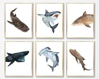 Sea Animal Nursery, Shark Nursery, John Sebastian, Nursery Nautical, Whale Wall Art, Whale Nursery, Watercolor Decor, Watercolor Whale, Boys Room Wall Art