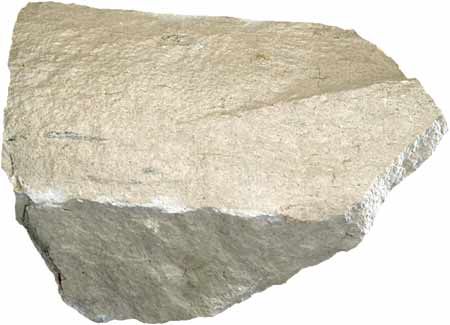 limestone (micritic) Limestone Rock, China Clay, Famous Monuments, Geology Rocks, Sedimentary Rocks, Calcium Carbonate, Rajasthan India, Rock Hounding, Spiritual Practices