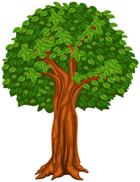 Tree Cartoon Images, Cartoon Tree, Tree Cartoon, Tree Background, Cartoon Trees, Tree Textures, Cartoons Png, Free Cartoons, Baby Clip Art