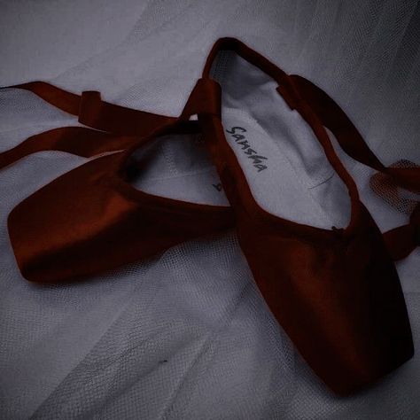 Brown Ballet Shoes, Red Ballet Shoes, Burgundy Aesthetic, Red Ballerinas, Red Princess, 12 Dancing Princesses, Ballet Clothes, Princess Core, Ballet Photography