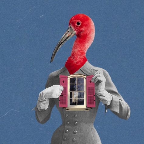 Absurdist Art, Weirdcore Aesthetic, Collage Illustration, Fashion Collage, Artist Community, Ways Of Seeing, Outsider Art, Conceptual Art, Birds Eye