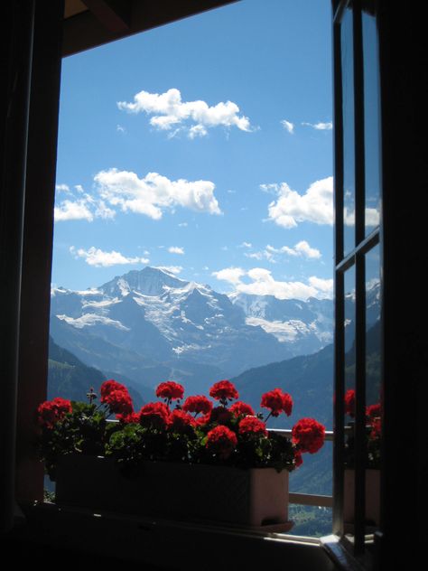 View of The Jungfrau Summit from the top of Harder Kulm  Interlaken, Switzerland    Photo By Darlene Castillo Wallpaper Hippie, Mountains Flowers, Window View, Trik Fotografi, Nature Aesthetic, Pretty Places, The Window, Beautiful Views, Fresh Air