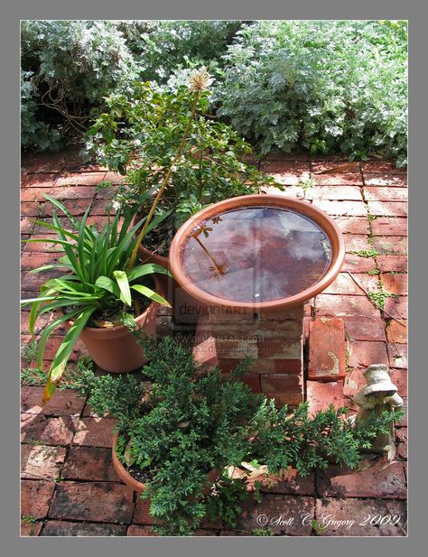 Diy bird bath