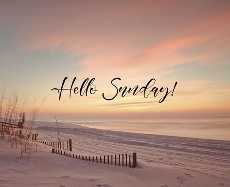 Happy Sunday coastal lovers ~ Sunday Morning Humor, Happy Sunday Images, Good Morning Sunday Images, Sunday Morning Quotes, Sunday Greetings, I Need Coffee, Hello Sunday, Blessed Sunday, Happy Week