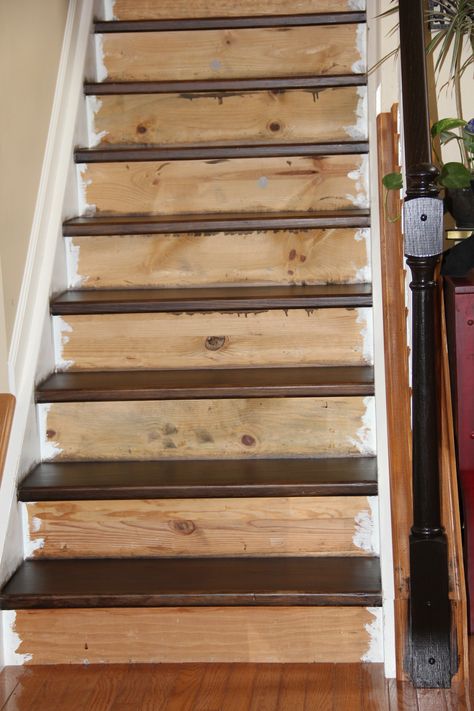 staining the treads Staining Stairs, Pine Stair Treads, Wood Stair Treads, Painted Staircases, Stair Makeover, Diy Staircase, Stairs Ideas, Treads And Risers, Stair Railing Design