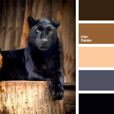 color In Color Balance, Seeds Color, Color Palette Ideas, Wall Living Room, Palette Design, Color Schemes Colour Palettes, Palette Ideas, Warm Palette, Color Balance