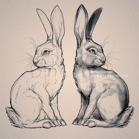 pencil drawing Essi Tattoo & Art - Eläin- ja luontoaiheiset tatuoinnit. — Piirustukset Pencil Loona Aesthetic, Two Rabbits, Tier Tattoo, Rabbit Drawing, Pencil Drawings Of Animals, Rabbit Tattoos, Animal Drawings Sketches, Bunny Drawing, Rabbit Art