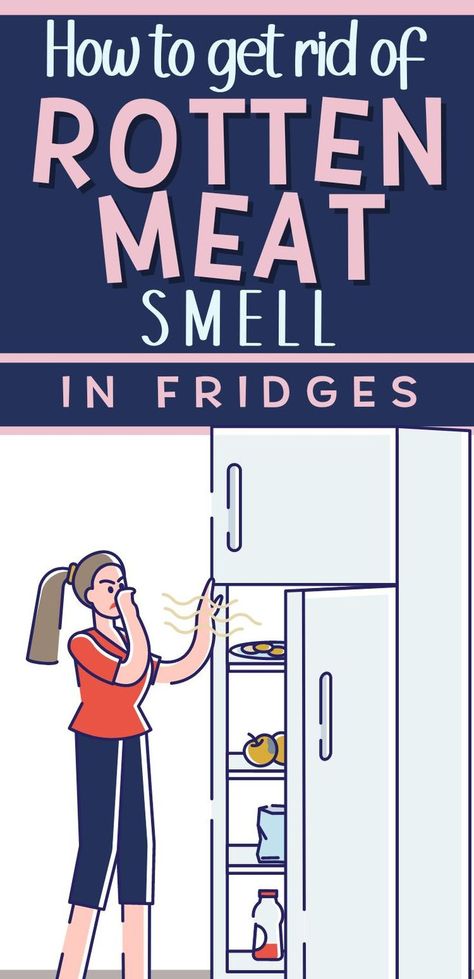 Pin text reads "how to get rid of rotten meat smell in fridges." Background graphic image is of a woman looking into her stinky fridge and holding her nose to protect against the rotten smell from fridge before using these house cleaning hacks to disinfect and deodorize bad smell from fridge Smelly Refrigerator, Rotten Meat, Smelly Fridge, Fridge Smells, Rotten Food, Camping Fridge, Easy House Cleaning, Fridge Odor, Old Refrigerator