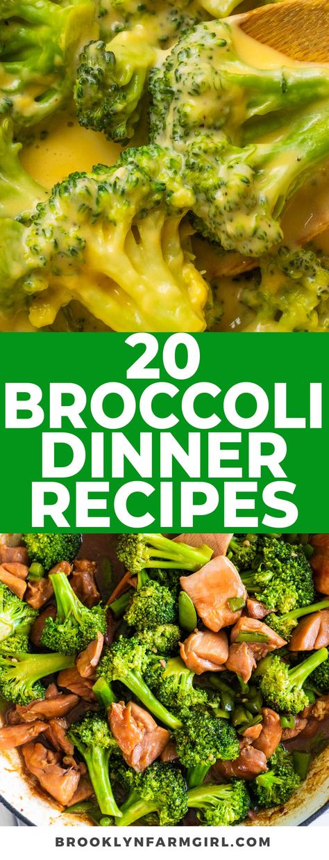 Level up your family's dinner game with our top 20 broccoli recipes that are not only delicious but also kid-approved! From cheesy casseroles to hearty soups, spaghetti and mac and cheese dishes, and more, we've picked these easy recipes that make broccoli the star of the show. Supper Ideas With Broccoli, Broccoli Meal Recipes, Meal Ideas With Broccoli, Dinner With Broccoli Meals, Main Dishes With Broccoli, Meals With Broccoli Dinners, Things To Do With Broccoli, Broccoli Meal Ideas, Dinners With Broccoli