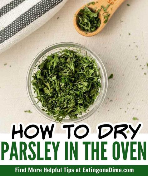 Learn How to Dry Parsley in the Oven with these easy instructions. These steps will teach how to never let fresh parsley go to waste in your refrigerator again. You’ll be surprised by how easy it is to dry parsley leaves at home. #eatingonadime #parsley #howto How To Dry Fresh Parsley, Drying Parsley In Oven, How To Dry Parsley Leaves, Drying Parsley, Drying Fresh Herbs, Growing Parsley, Pickles Canning, Parsley Leaves, Eating On A Dime