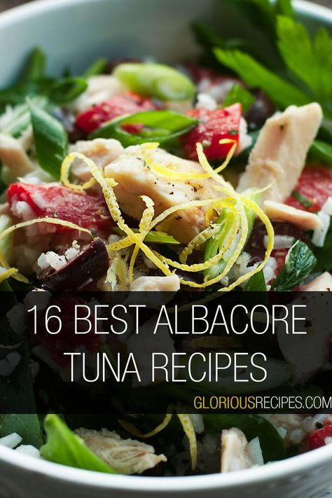 Albacore Tuna Recipes White Albacore Tuna Recipes, Albacore Tuna Recipes Steaks, Fresh Tuna Recipes Baked, Albacore Tuna Loin Recipes, Canned Albacore Tuna Recipes, Fresh Albacore Tuna Recipes, Tuna Loin Recipe, Albacore Tuna Steak Recipes, Albacore Tuna Recipes Canned