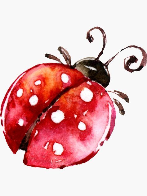 Ladybug Watercolor Paintings, Painting Ladybugs, Ladybug Doodle, Ladybug Watercolor, Ladybug Animal, Ladybug Painting, Ladybug Illustration, Cute Watercolor Animals, Ladybug Drawing