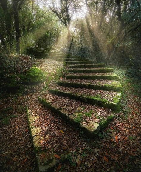 Travel Earth on Instagram: “Heavenly scene. #aroundtheworldpix Photography by @ilusalazar” Stairs In The Woods, Beautiful Stairs, Spain Photography, Landscaping Images, Stairway To Heaven, Belleza Natural, Travel And Leisure, Beautiful Lights, In The Woods