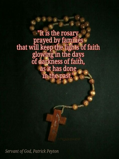 "The Rosary is the weapon."                              … Praying The Rosary Catholic, Rosary Quotes, Rosary Novena, Catholic Lent, Loving Mother, Saint Quotes Catholic, Rosary Prayer, Praying The Rosary, Holy Rosary