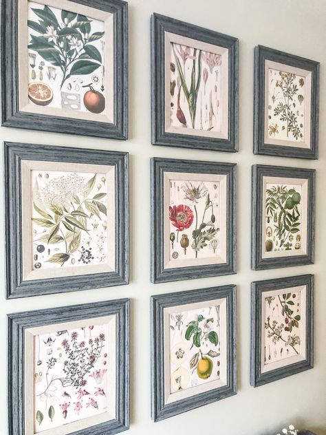 Botanical Gallery Wall, Botanical Kitchen, Kitchen Gallery Wall, Print Gallery Wall, Bunker Hill, Cottage Kitchens, Botanical Decor, Botanical Wall Art, Kitchen Wall Decor