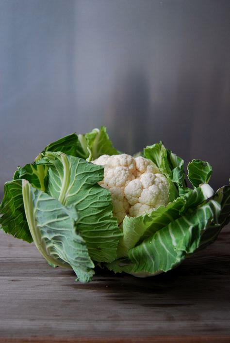 Gratin with Cauliflower and Garlic Mashed Potatoes ° eat in my kitchen Cauliflower Photography, Creamy Garlic Mashed Potatoes, High Fiber Vegetables, Vegetables Photography, Garlic Mashed Potatoes, Garlic Mashed, Fruit Photography, Foto Tips, Tutti Frutti