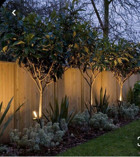 Landscaping Along Fence, Privacy Landscaping, Backyard Privacy, Backyard Lighting, Fence Landscaping, Have Inspiration, Outdoor Gardens Design, Backyard Garden Design, Backyard Fences