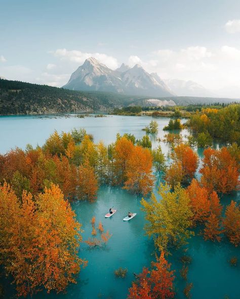 Abraham Lake Canada, Abraham Lake, The Great Escape, Fall Is Here, Banff National Park, Beautiful Places In The World, Turquoise Water, Story Instagram, Photo Location