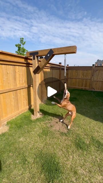 Diy Spring Pole For Dogs, Diy Dog Spring Pole, Diy Dog Teeter Totter, Fenced In Yard For Dogs, Diy Dog Digging Pit, 6x6 Post Ideas, Dog Playground Backyard Diy, Dog Run Ideas Backyard, Playground Backyard Diy