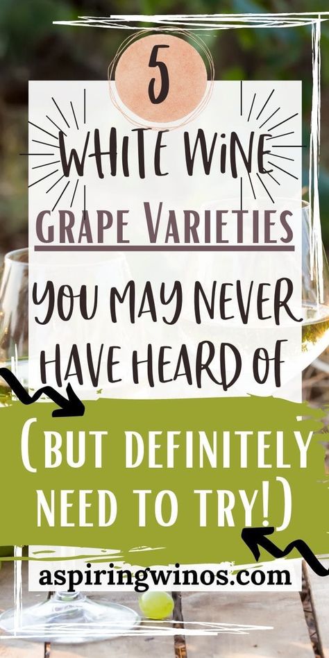 Six White Wine Grapes You Have To Try | White Wine | Never Heard Of Wines | White Wine Grapes #WhiteWines #WhiteWineGrapes #WhiteWinesYouHaveToTry #NeverHeardOfWines White Wine Grapes, Wine Cocktail Recipes, Wine Grape, Grape Varieties, How To Make Red, Wine Grapes, Semillon, Inspirational Blogs, Wine Education