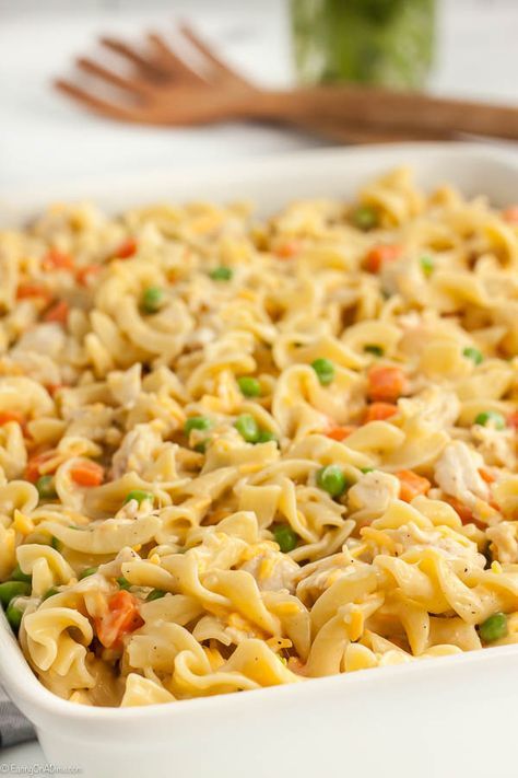 Chicken noodle casserole recipe is easy and the best comfort food. Creamy chicken and noodles with cheese make this a casserole everyone will go crazy over. Chicken Noodle Casserole Easy, Chicken Egg Noodle Casserole, Creamy Chicken And Noodles, Chicken Noodle Casserole Recipe, Easy Veggie Side Dish, Chicken And Noodles, Creamy Chicken Casserole, Noodle Casserole Recipes, Chicken Casseroles