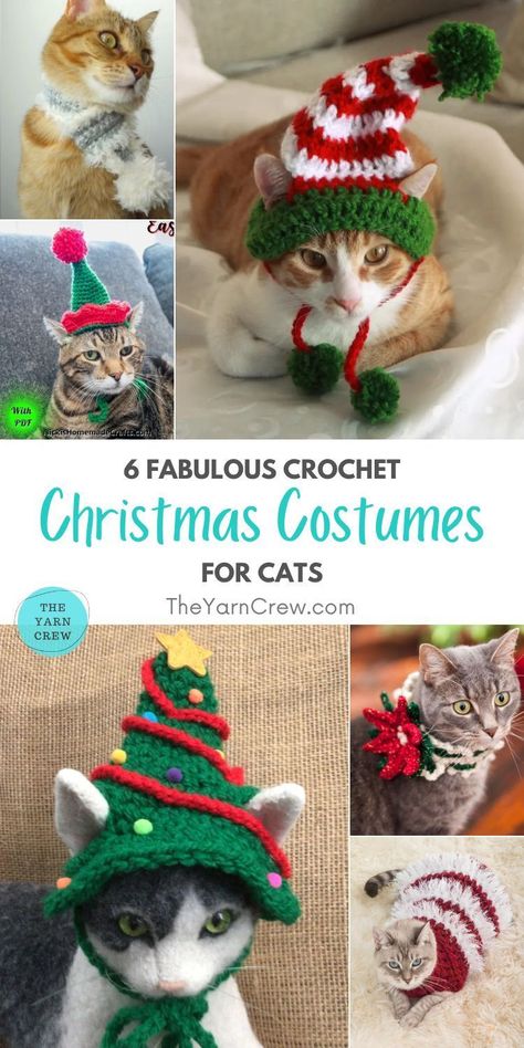 6 Fabulous Crochet Christmas Costumes For Cats. 6 Fabulous Crochet Christmas Costumes For Cats curated by The Yarn Crew. Costumes For Cats, Cat Christmas Hat, Cat Outfit, Crochet Christmas Hats, Crochet Cat Hat, Christmas Tree Hat, Small Dog Sweaters, Crochet Dog Sweater, Cat Hat