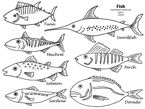 Set of isolated line hand drawn fish with names. Sketch collection Drawing Of Fish, Fish Drawing Easy, Drawn Fish, Fish Drawing, Fish Drawings, Cityscape Photos, Logo Banners, Easy Drawing, Fish Design