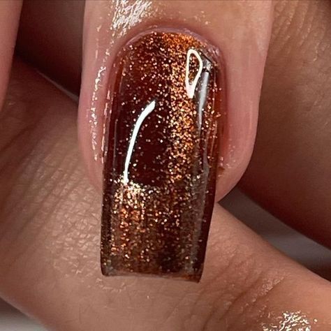 🌟 hanina 🌟 on Instagram: "this trend—but make it cateye" Cats Eyes Nails, Nails Bronze, Eyes Nails, Cats Eyes, Cat Eye Nails, Fall Nail Colors, Fall Nails, Nail Colors, Cat Eye