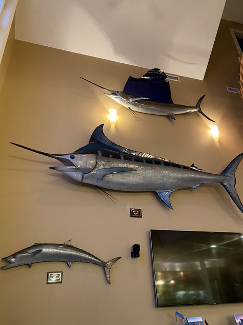 Blue Marlin Fish, Tarpon Fishing, Fish Mounts, Marlin Fish, Animal Taxidermy, Hunting Room, Blue Marlin, Trash Art, Fish House