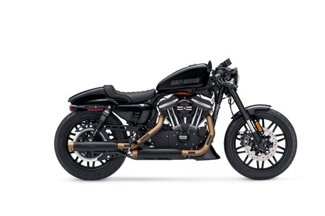 Harley-Davidson Sportster Café Custom Accessories Released Harley Roadster, 72 Harley Sportster, Harley Davidson Sportster S 2021, Harley Davidson Sportster 1200 Nightster, Cafe Racer Kits, Hd Sportster 1200, Sportster Cafe Racer, Harley Davidson Roadster, Kawasaki Cafe Racer