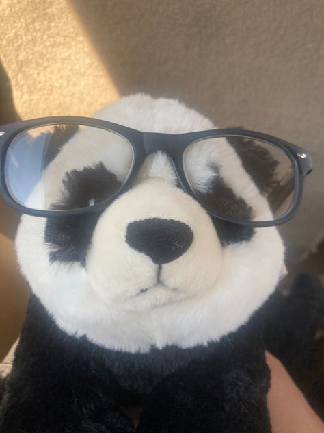 Cute Panda Pfp, Pfp Material, Siren Core, Dog With Glasses, Emo Scene, Hamsters, Silly Cats, Cute Panda, Panda Bear