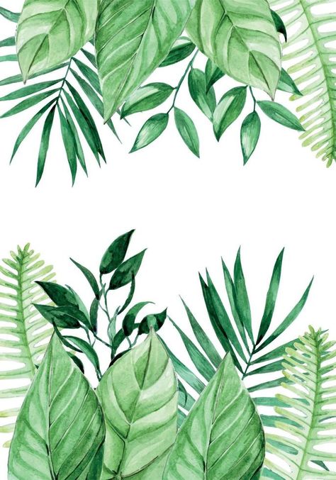 watercolor drawing, frame with tropical leaves. border palm leaves, jungle plants. bright summer background with place for text isolated on white background Tropical Leaves Photography, Jungle Leaves Drawing, Jungle Plants Drawing, Palm Leaves Drawing, Tropical Plants Drawing, Palm Leaf Drawing, Tropical Leaves Drawing, Tropical Plants Illustration, Leaf Drawing Easy