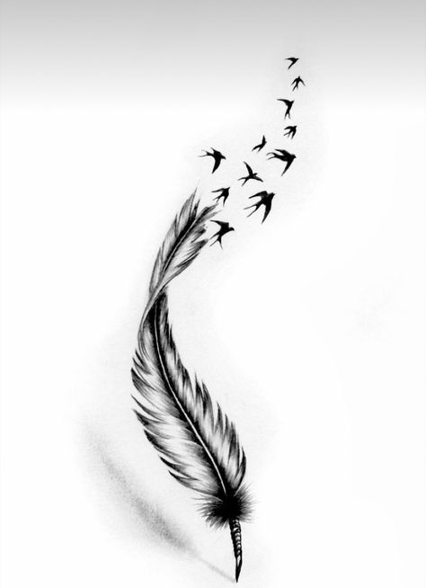 Feather Tattoos Behind Ear, Feather Tattoo Drawing, Tattoo Plume, White Feather Tattoos, Feather Tattoo For Men, Feather Tattoo Black, Phoenix Feather Tattoos, Quill Tattoo, Dandelion Tattoo Design