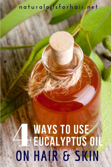 Eucalyptus Oil Diy Homemade, Eucalyptus Uses, Eucalyptus Oil For Hair, How To Make Eucalyptus Oil, Eucalyptus Oil Benefits For Skin, How To Use Eucalyptus Essential Oil, Lemon Eucalyptus Oil Uses, Eucalyptus Oil Benefits, Eucalyptus Essential Oil Uses