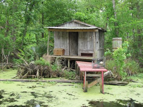 cajun new orleans | For the best food in New Orleans, look to the road | Cathy Riches New Orleans Bayou, Bayou House, Jean Lafitte, Louisiana Swamp, Swamp Tours, Louisiana Bayou, Stilts, New Orleans Louisiana, Cabin Rentals