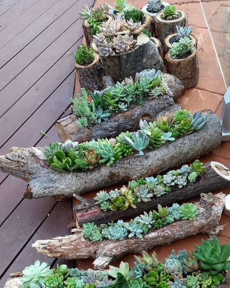 45 Succulent Wedding Ideas That Are In Trend - Mrs to Be Succulent Landscape Design, Succulent Landscaping, Succulent Garden Diy, Succulent Gardening, Succulents Indoor, Rustic Garden Decor, Succulents Diy, Rustic Gardens, Succulents Garden