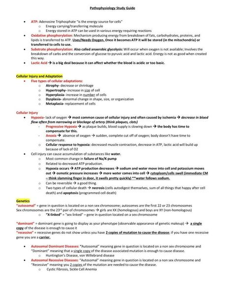 Nursing School Pathophysiology Study Guide - Etsy Canada ipadplannertemplate #plannerdeestudosparaimprimir. Study Planner Ideas, Pathophysiology Nursing, Nursing School Studying Cheat Sheets, Study Planner Free, Med School Study, Learn Biology, Nursing School Essential, Nursing Study Guide, Nurse Study Notes