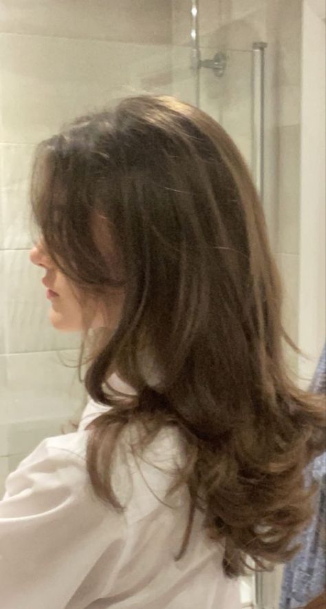 80s Blowout Hair, Layers Blowout, Brown Layered Hair, Boho Chic Hairstyles, Puffy Hair, Rambut Brunette, Brown Hair Inspo, Hair Inspiration Long, Layered Haircuts For Medium Hair