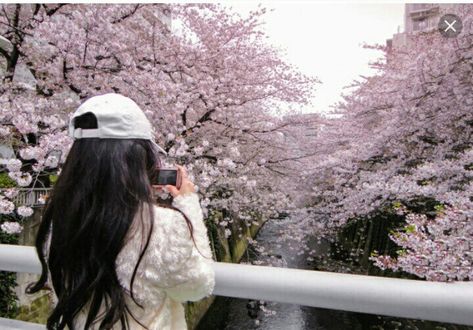 Japanese Cherry Blossoms, Cherry Blossom Girl, Tree Pose, Sakura Tree, About A Girl, Japanese Cherry Blossom, Cherry Blossom Tree, Blossom Trees, Coffee And Books