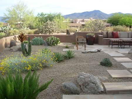 Arizona landscapes...about to be a regular sight for me! via ANOZYRA landscape services. Arizona Backyard Landscaping, Desert Landscaping Backyard, Desert Backyard, Arizona Backyard, Yard Plants, Arizona Landscape, Drought Resistant, Large Backyard, Landscape Designs