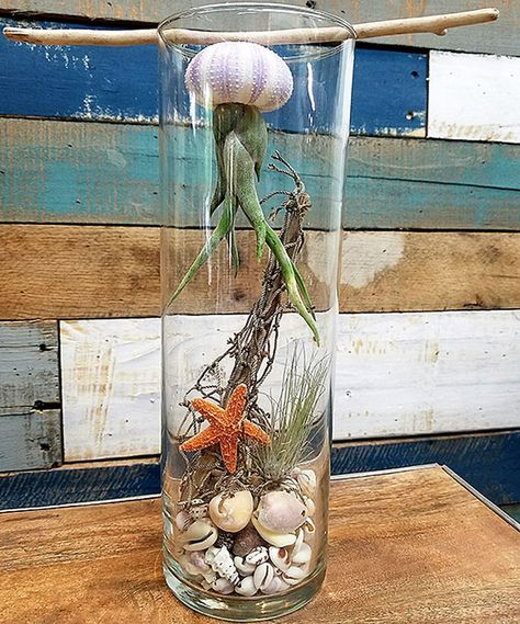 Look at this Shipwreck Air Plant Jellyfish Terrarium on #zulily today! Ocean Bathroom Decor, Plant Display Ideas, Air Plant Display, Air Plant Terrarium, Sea Crafts, Beach Theme Decor, Beachy Decor, Garden Terrarium, Decorated Jars