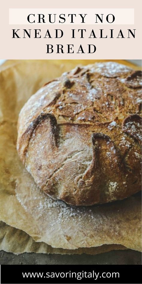 Crusty No Knead Italian Bread is a fast and easy ! It’s just like the bread my Italian mother-in-law makes!! This delicious bread is made in your Dutch oven and is ready in a few hours-no need to have it rise overnight! Perfectly crisp crust and soft on the inside. This bread is quick to make with unbelievable results!! Rustic Italian Crusty Bread Recipe, Italian Bread Recipes Crusty, No Knead Italian Bread, Easy Italian Bread, Crusty Italian Bread Recipe, Crust Bread, Italian Bread Recipe, Traditional Bread Recipe, Rustic Italian Bread