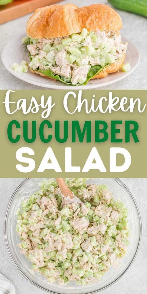 Cucumber Chicken Salad Sandwich recipe Cucumber Chicken Salad Sandwich, Cucumber Chicken Recipes, Chicken Cucumber Wrap, Shredded Chicken For Salads, Chicken Salad Recipe Cucumber, Cucumber And Chicken Salad, Chicken Cucumber Avocado Salad, Shredded Cucumber Recipes, Chicken Salad With Peas