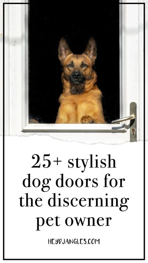 Doors With Doggie Doors Built Ins, Dog Door In Window, Pet Door Ideas, Dog Door Ideas In Wall, Doggie Door Ideas, Dog Door Ideas, Sliding Door Dog Door, Diy Doggie Door, Automatic Dog Door