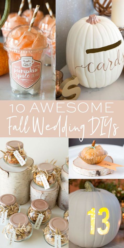 Fall Bridal Shower Decorations Diy, Fall Centerpieces Wedding Diy, Dollar Tree Fall Wedding Ideas, Bridal Shower Ideas For Fall, Fall Themed Wedding Shower Ideas, Wedding Dresses Fall Outdoor, Fall Diy Wedding Decorations, Fall Table Settings Wedding, Wedding Decor With Pumpkins