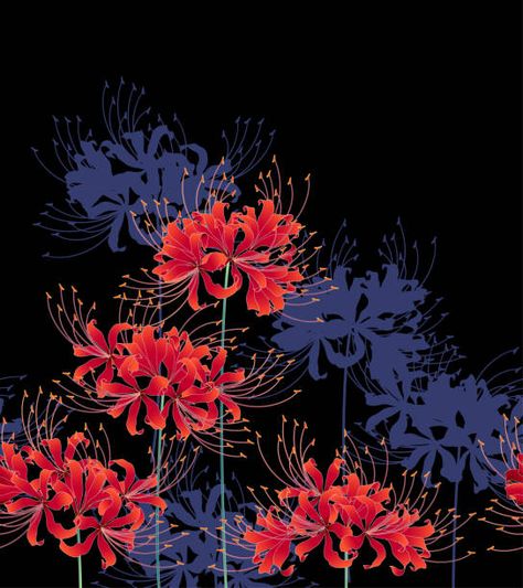 Blue Spider Lily Wallpaper, Amaryllis Tattoo, Lycoris Radiata, Halloween Digital Art, Lily Wallpaper, Red Spider Lily, Spider Lily, Lily Painting, Lily Pattern