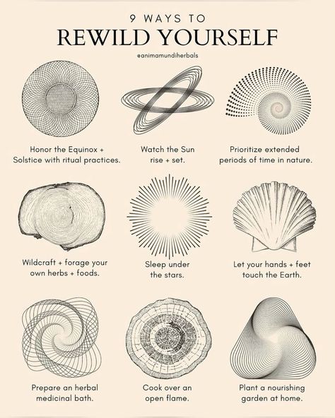 Indigenous Medicine Wheel, Celtic Wheel, Herbs Medicinal, Spend Time In Nature, Spiritual Being, Humans And Nature, Sleep Under The Stars, Plants At Home, Plant Kingdom