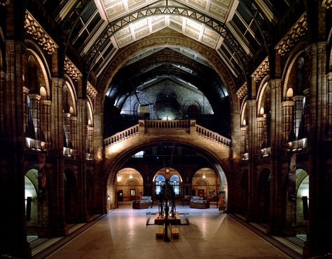 #Museum lates: late-night museum #events in #London. Get your culture fix after hours at some of the capital's top museum and attraction evening events. #lovelondon #thingstodo #thingstodoinlondon #londonevents #londonislovinit #visitlondon #londonlife #ldn #londonbits #londoncalling Museum At Night, Natural History Museum London, Myths & Monsters, Nature Museum, London Attractions, London Baby, Night At The Museum, London Museums, Science Museum