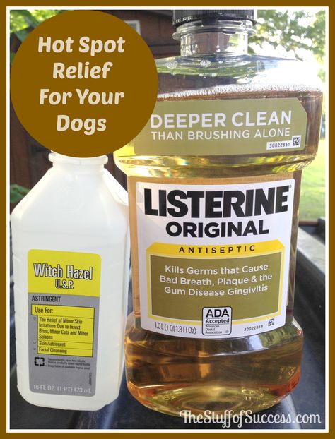 Hot Spot Relief For Your Dogs Dog Hot Spots, Flea Remedies, Meds For Dogs, Pet Remedies, Itchy Dog, Dog Remedies, Aromatherapy Recipes, Oils For Dogs, Dog Health Tips